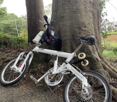 巨木とmy自転車